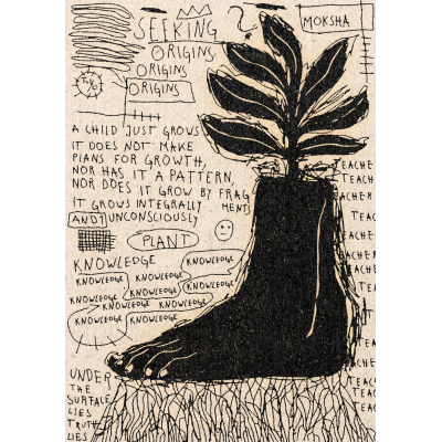 Lámina Conocimiento de plantas