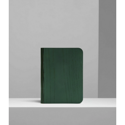 Lámpara libro madera verde